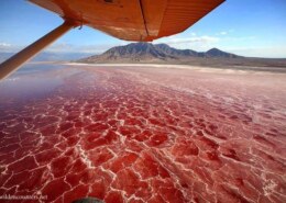 All about Lake Natron; deadest water in Africa