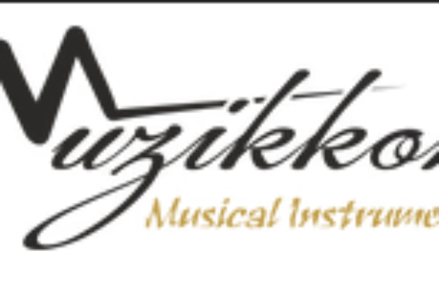 musical instruments in irish