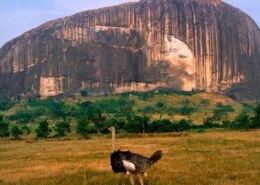 Nigeria's Most Magnificent Natural Wonder: Exploring the Beauty of Zuma Rock