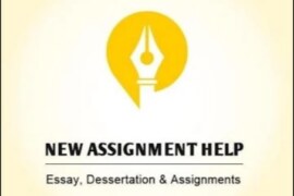 Free Essay Typer Tool