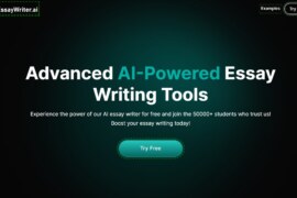 MyEssayWriter.ai Under the Microscope: Insights and Impartial Evaluation