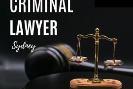 Understanding Criminal Defence Law: An Overview