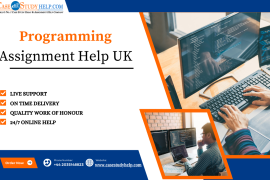 Want To Make A Better Programming Career? Avail Programming Assignment Help UK