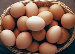 Everything you need to know about eggs, do they raise cholesterol and how many you can eat each day