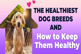 The Healthiest Dog Breeds and How to Keep Them Healthy