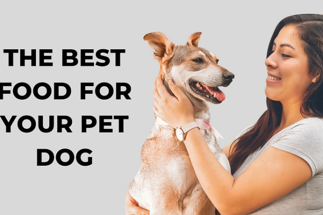 Choosing the Best Food for Your Pet Dog