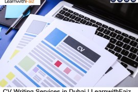 Professional CV Writers in Dubai