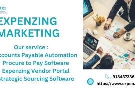 Boost Supplier Management via Strategic Sourcing Software