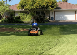 What are the most fragrant plants for Hawaii yards?