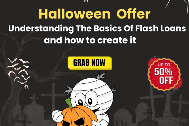 Understanding The Basics Of Flash Loans: and how to create it?