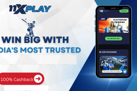 How to Access the 11xPlay Reddy Login for Seamless Betting
