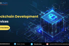 What are the Blockchain Development Services We Provide?