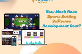 How Much Does Sports Betting Software Development Cost?