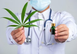 The Transformative Impact of Cannabis in Healthcare