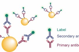 Flow Cytometry Gold Nanoparticles for Enhanced Cellular Analysis