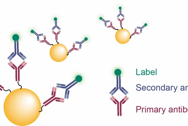 Flow Cytometry Gold Nanoparticles for Enhanced Cellular Analysis