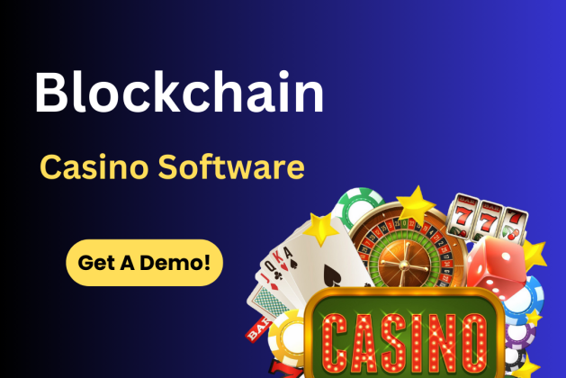 Bitcoin Casino Software Development