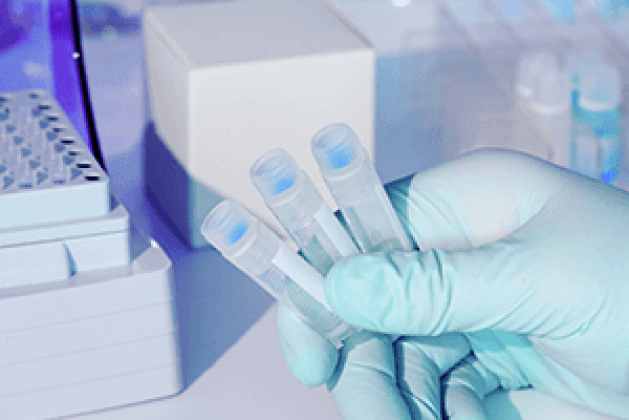 CD BioSciences Unveils Assay Kits for C. elegans Genotyping
