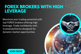 Forex Brokers With High Leverage