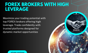 Forex Brokers With High Leverage