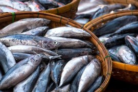 Crecimiento del Mercado del Pescado: Proyecciones y Factores Impulsores hasta 2032