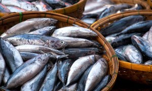 Crecimiento del Mercado del Pescado: Proyecciones y Factores Impulsores hasta 2032