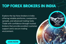 Top Forex Brokers In India