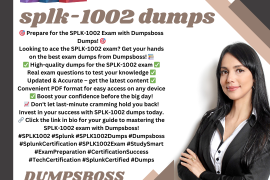 What Are SPLK-1002 Dumps, and Can They Guarantee a Pass?