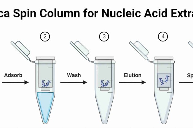 Silica Spin Column for Nucleic Acid Extraction