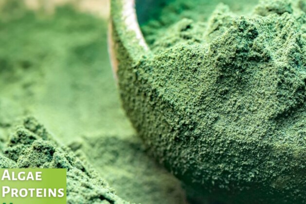 Algae Protein Market is anticipated to witness an impressive growth in the forecast period with a CAGR of 5.77% through 2031