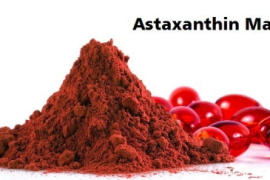 Astaxanthin Market Rising Trends, Key Leading Players, Trends Analysis, Industry Global Industry and Forecast to 2031