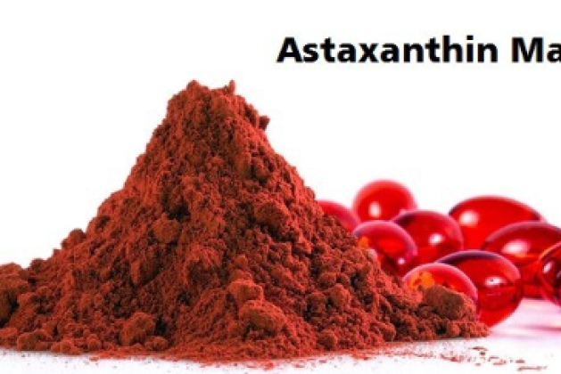 Astaxanthin Market Rising Trends, Key Leading Players, Trends Analysis, Industry Global Industry and Forecast to 2031