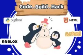 Are Winter Coding Camps Beneficial?