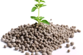 Phosphate Fertilizers Market by Growth Rate, Business Challenges, Competitors, and Forecast 2031