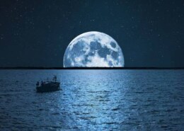 Tidal Phenomena: How the Moon Controls Ocean and River Behavior