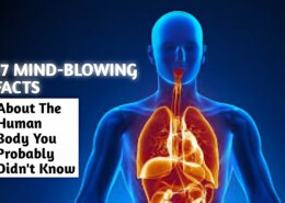 Mind-Blowing Facts About the Human Body You Probably Didn’t Know